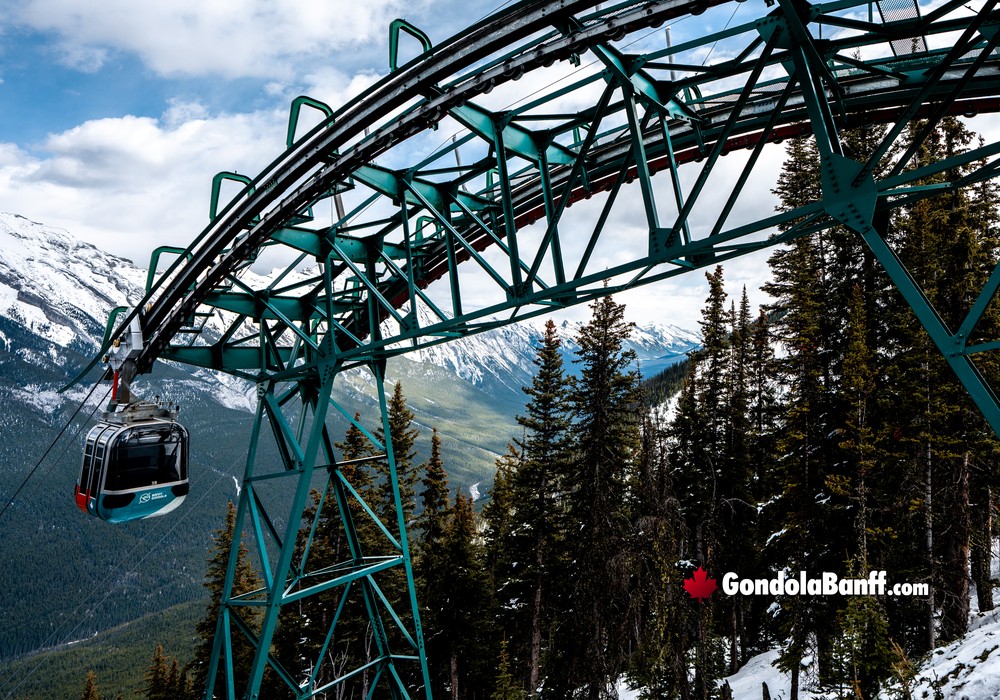 Banff Gondola Ascending Amongst Trees