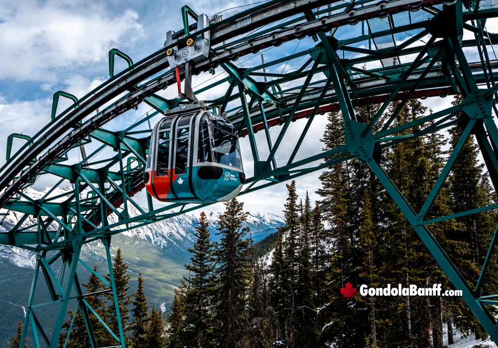 Banff Gondola Track Amongst Trees