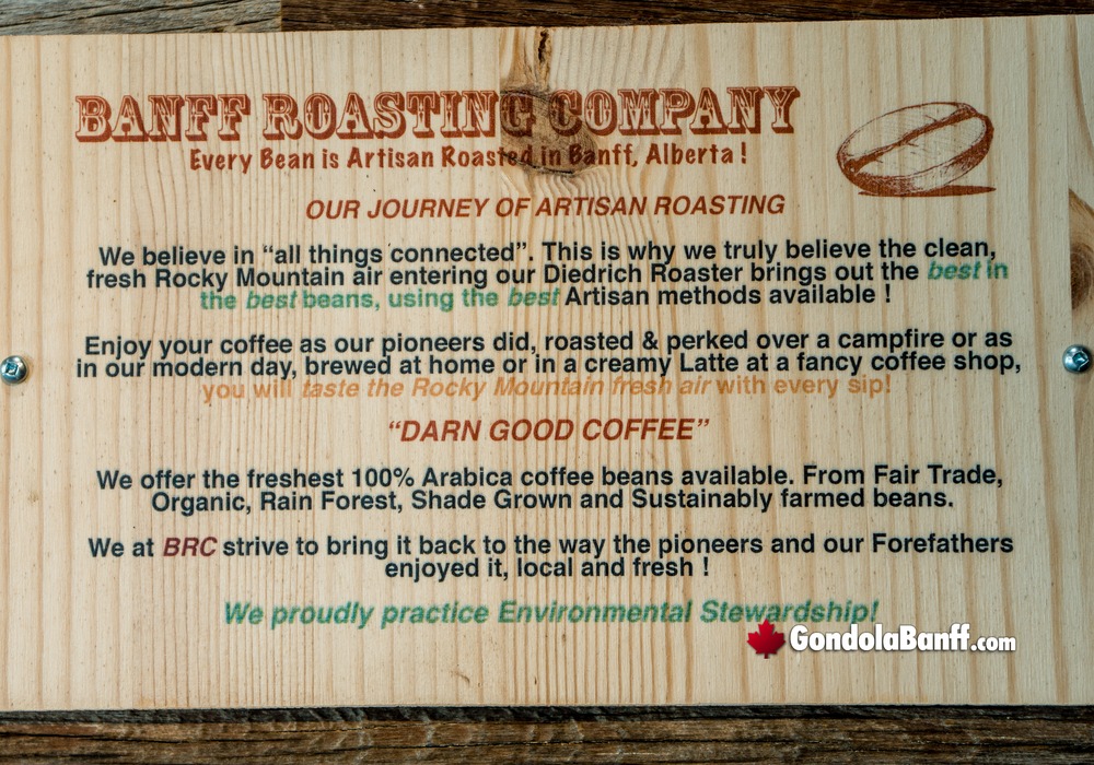 Roasting Company Journey of Artisanal and Sustainable Stewardship