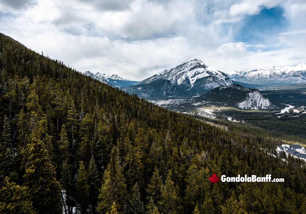 Cacsade Mountain Angular Forest View