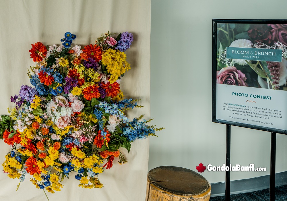 Floral Blooms and Brunch Beautiful Display