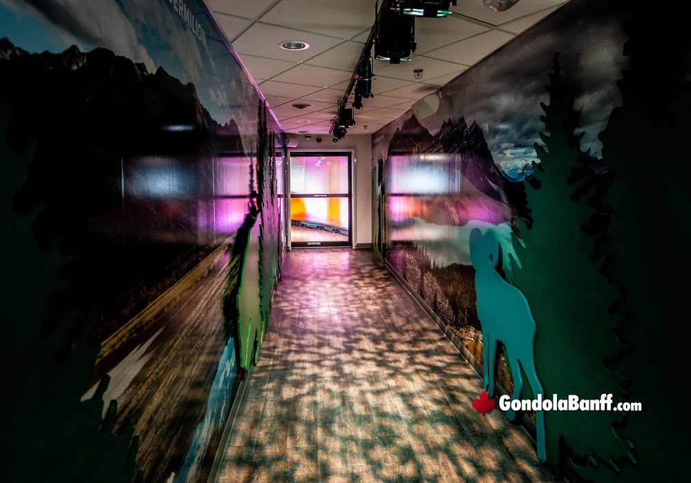 Hallway Nature Lights