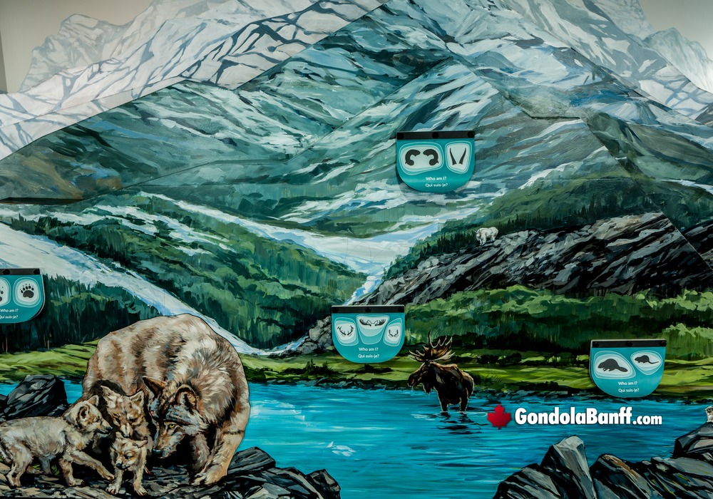 Interactive Wildlife Displays