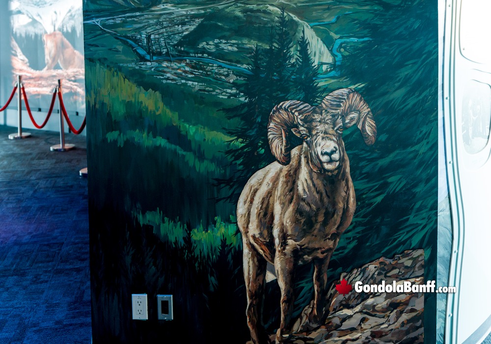 Interpretive Centre Mountain Sheep Painting Visitor