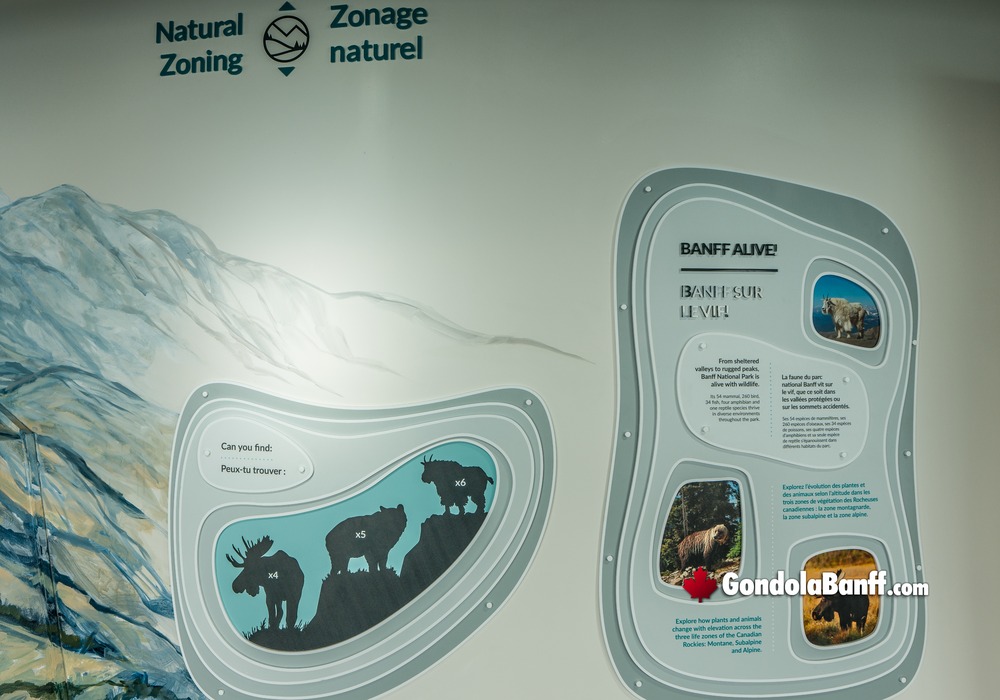 Interpretive Centre Natural Zoning Information