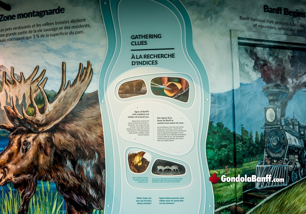 Interpretive Centre Paintings Wildlife Information