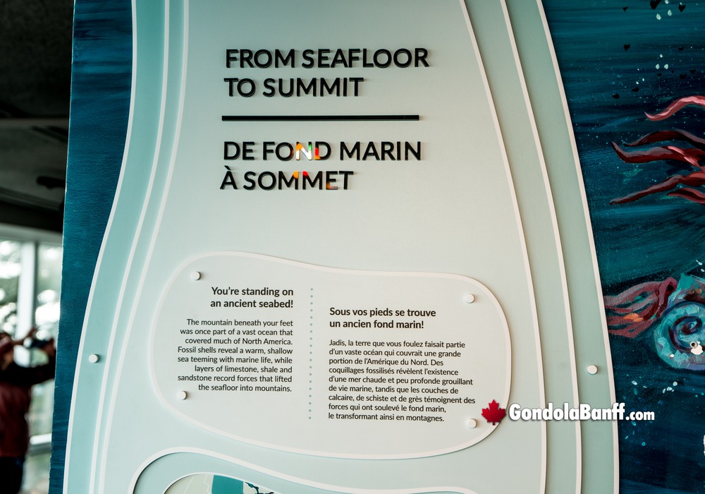 Interpretive Centre from Seafloor to Summit