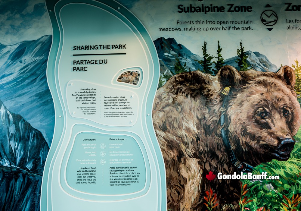 Sharing Banff National Park with Wildlife Sign
