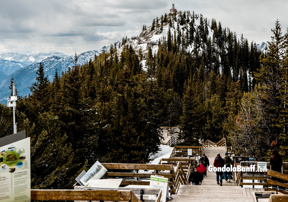 Sulphur Mountain Historic Site Signs