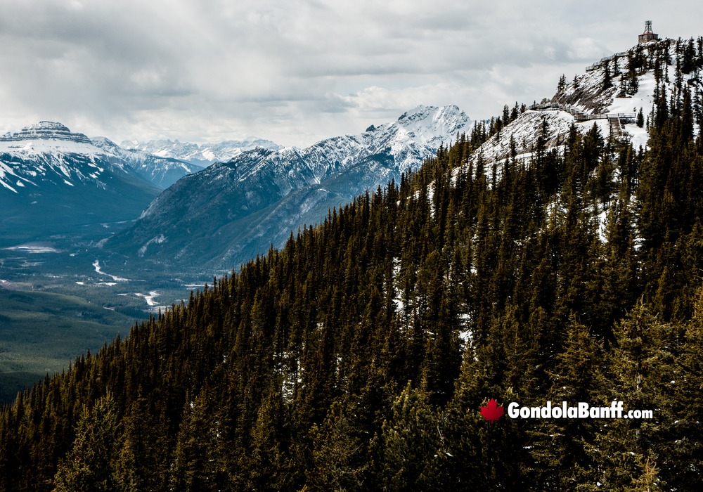 South Banff Sulphur Mountain Valley View