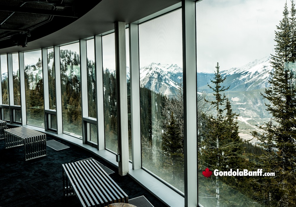 Window Benches with View of Sulphur Mountains Forest
