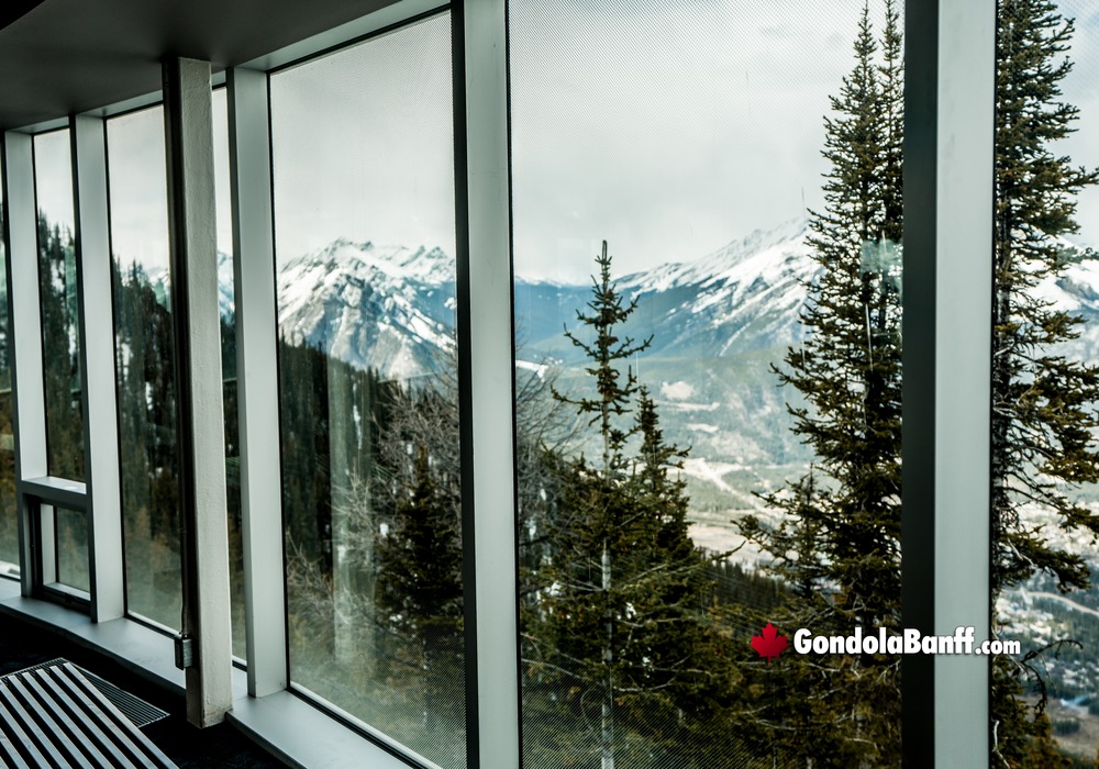 Upper Terminal Window Views of Forest and Mountains