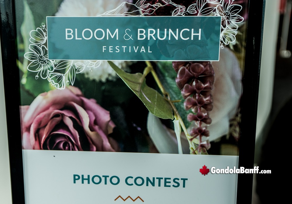 What Makes Bloom & Brunch Special