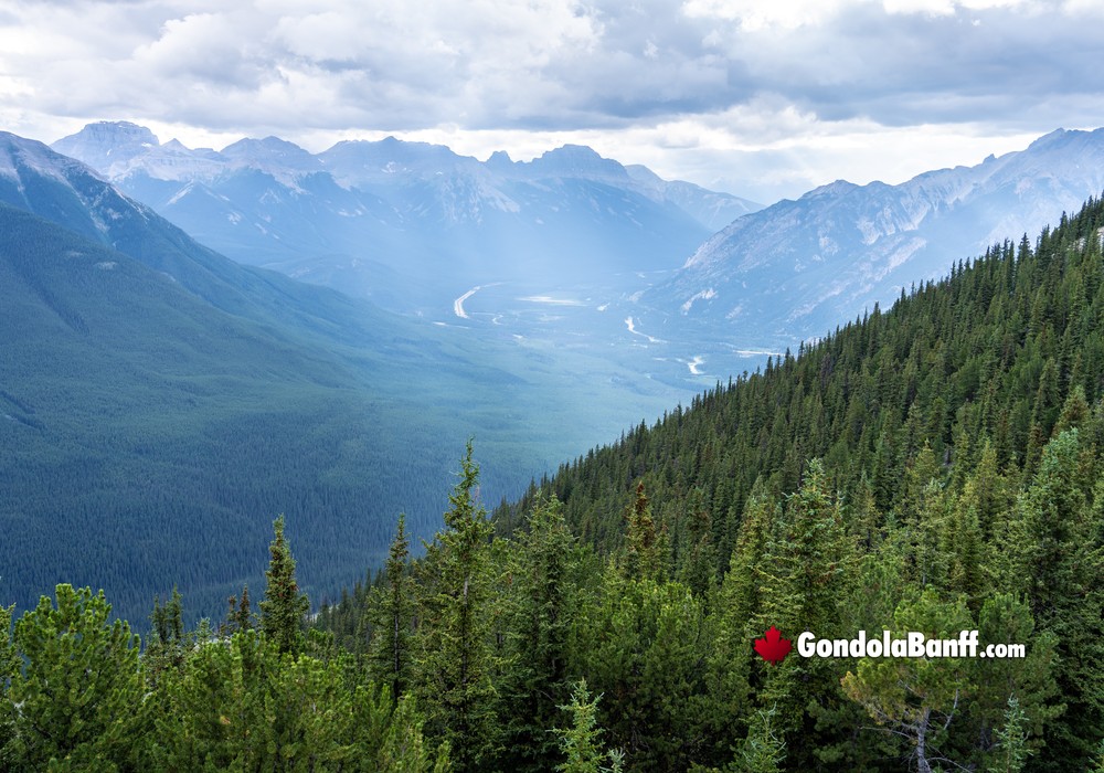 Beautiful Morning Sunshine Views