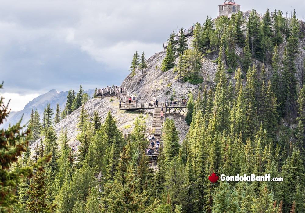 Boardwalk Altitude Finish