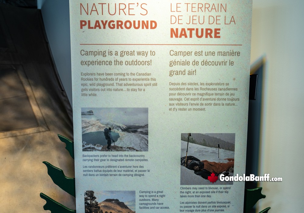 Camping in Natures Playground