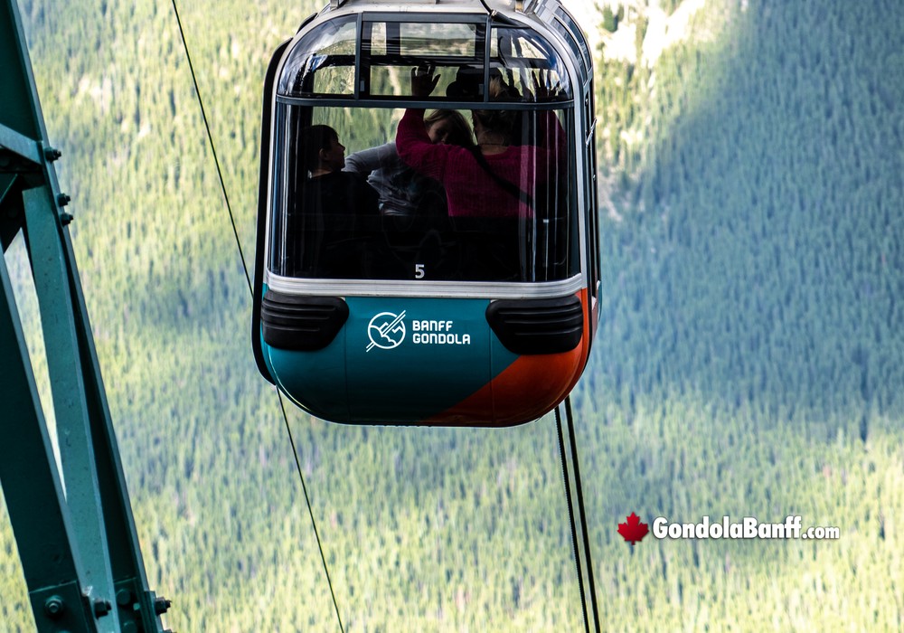 Gondola Cabin Size