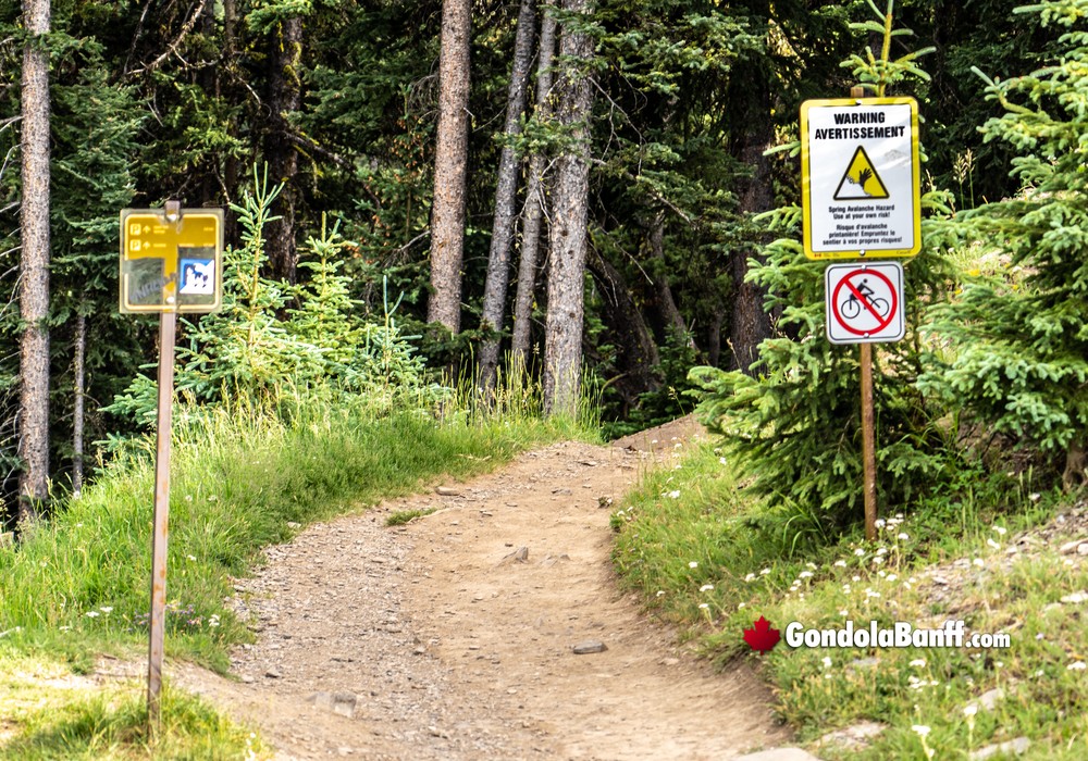 Hiking Trails at the Summit