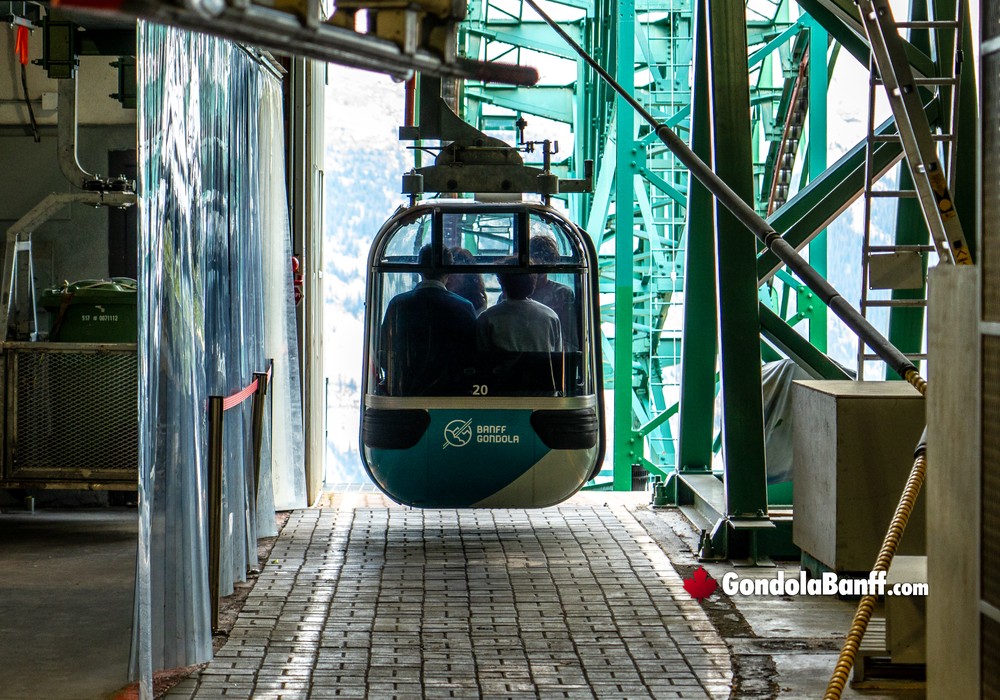 In Terminal Car Arrival