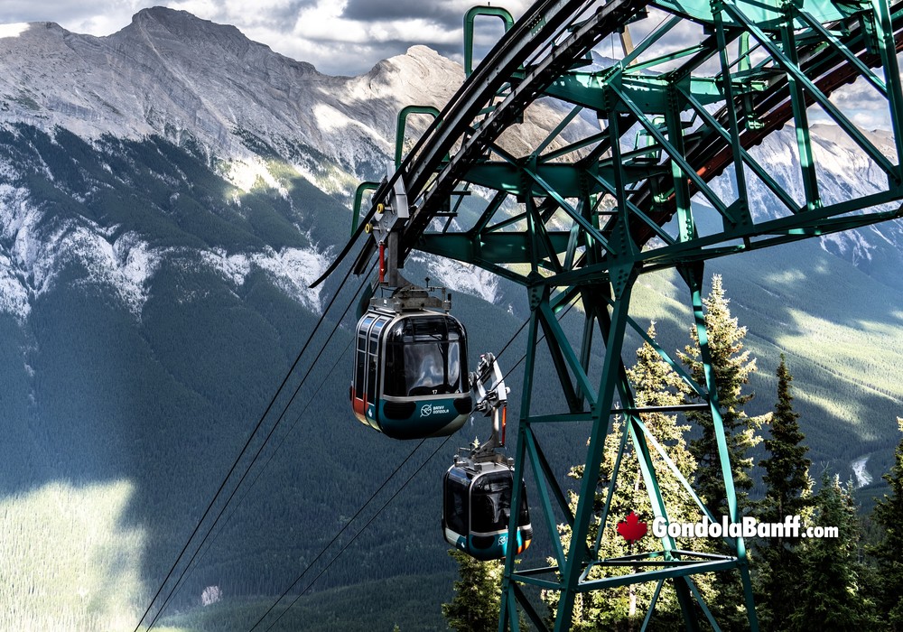 Riding Up and Down the Gondola