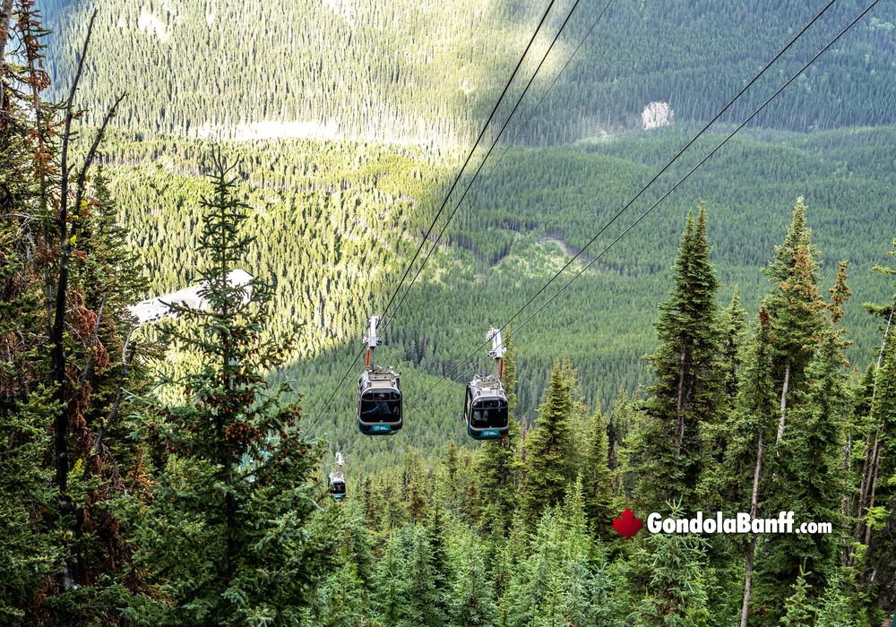 The Gondola Rise in View and Altitude