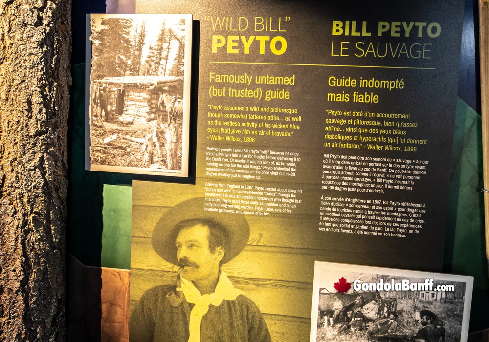 Wild Bill Peyto