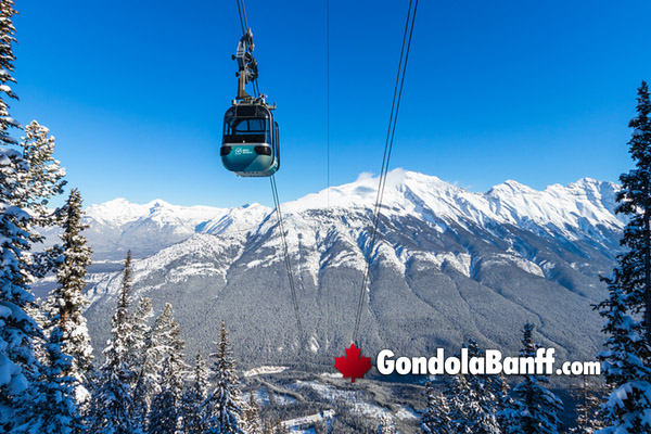Banff Gondola Nightrise Winter Star Gazing, Aurora, Shows and Dazzling Lights