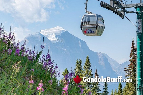 Banff Lake Louise Summer Gondola